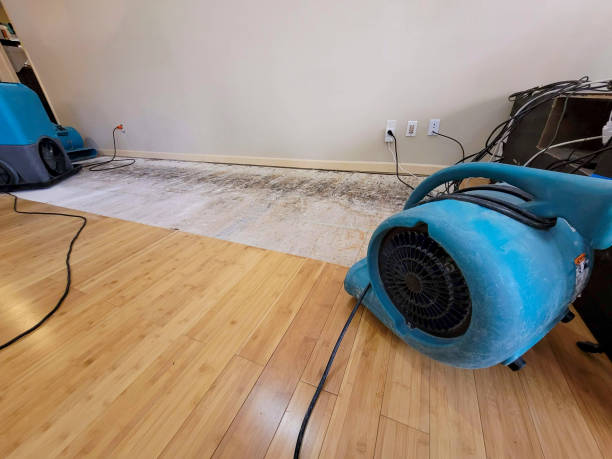 Professional Basement Flood Cleanup technician working in Balm, FL